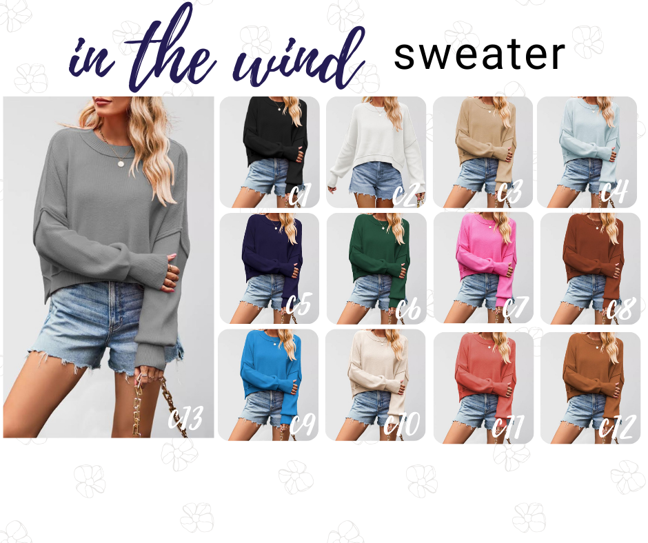 PREORDER: In The Wind Sweater 1.6.25 osym